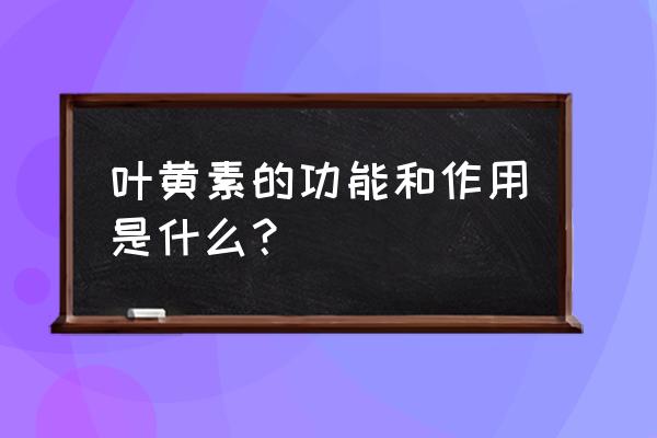 叶黄素是干什么的 叶黄素的功能和作用是什么？