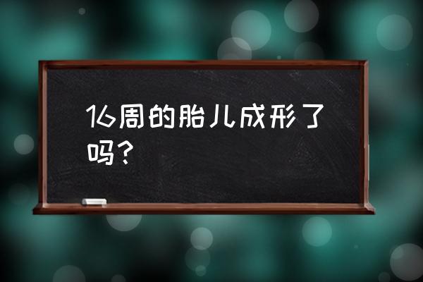 婴儿几个月成型看出男女 16周的胎儿成形了吗？