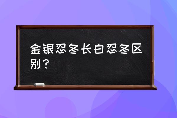 金银忍冬与长白忍冬区别 金银忍冬长白忍冬区别？