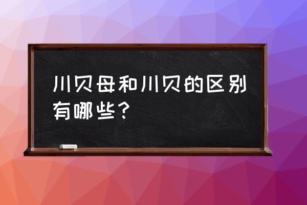 和川贝一样的功效还有什么 川贝母和川贝的区别有哪些？