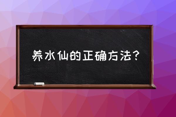 如何养水仙花步骤 养水仙的正确方法？