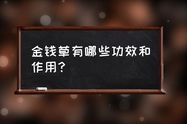 金钱草功效与作用点的功效 金钱草有哪些功效和作用？