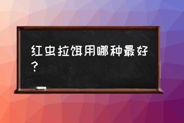 红虫拉饵用什么料 红虫拉饵用哪种最好？