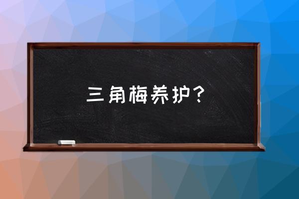 三角梅正常养护方法 三角梅养护？