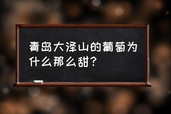 大泽山葡萄介绍 青岛大泽山的葡萄为什么那么甜？