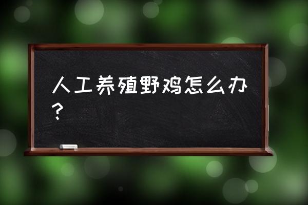 野鸡人工养殖 人工养殖野鸡怎么办？