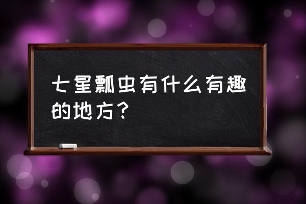 七星瓢虫有趣的地方有哪些 七星瓢虫有什么有趣的地方？