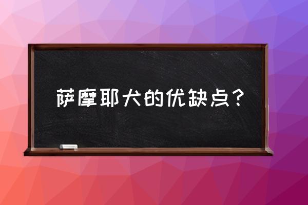 萨摩耶犬的优缺点 萨摩耶犬的优缺点？