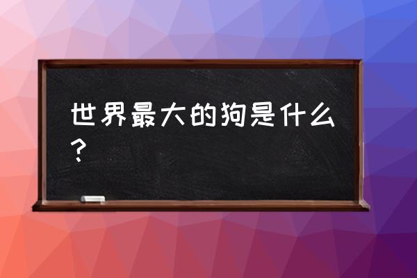 最大的狗是哪种狗 世界最大的狗是什么？