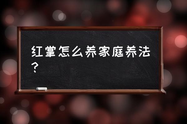 红掌怎么养家庭养法 红掌怎么养家庭养法？