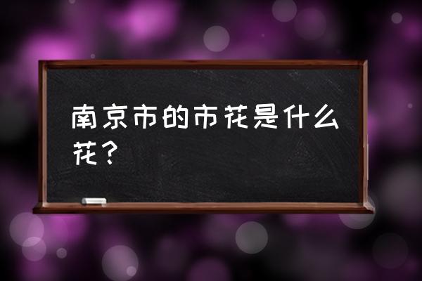 南京市花是哪个花 南京市的市花是什么花？