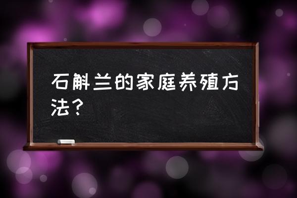 石斛兰的家庭养殖 石斛兰的家庭养殖方法？