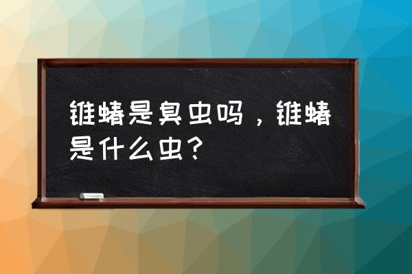 克氏锥虫和臭虫 锥蝽是臭虫吗，锥蝽是什么虫？