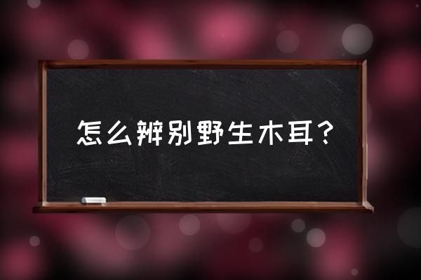 野生木耳和人工木耳的区别 怎么辨别野生木耳？