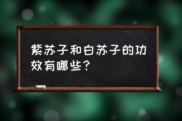 紫苏子叶的功效与作用 紫苏子和白苏子的功效有哪些？