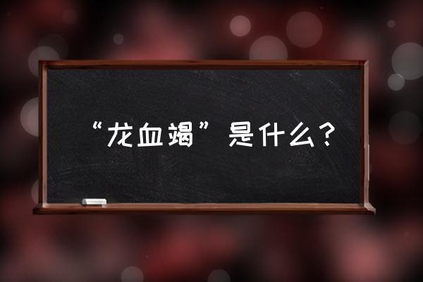 龙血竭散的主要作用 “龙血竭”是什么？