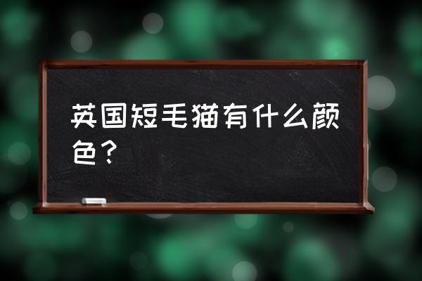 欧洲短毛猫有几种颜色 英国短毛猫有什么颜色？