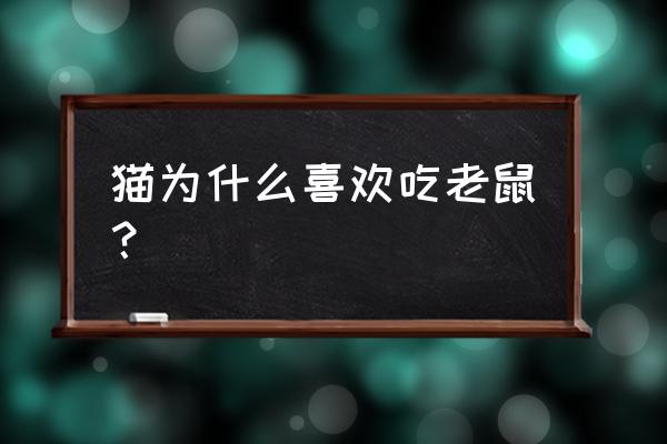 猫为什么要吃老鼠呢 猫为什么喜欢吃老鼠？