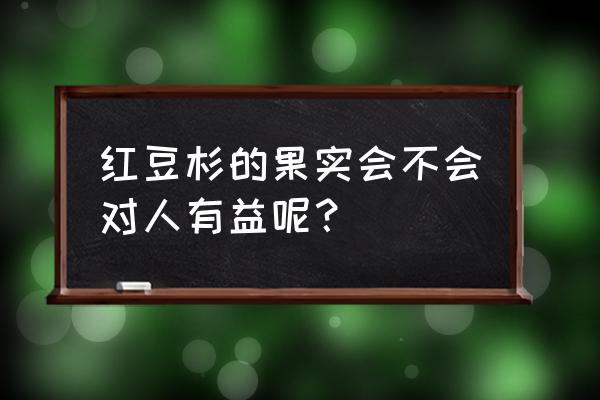 南方红豆杉的功效与作用 红豆杉的果实会不会对人有益呢？