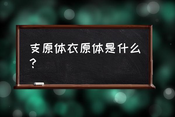 支原体衣原体是什么生物 支原体衣原体是什么？