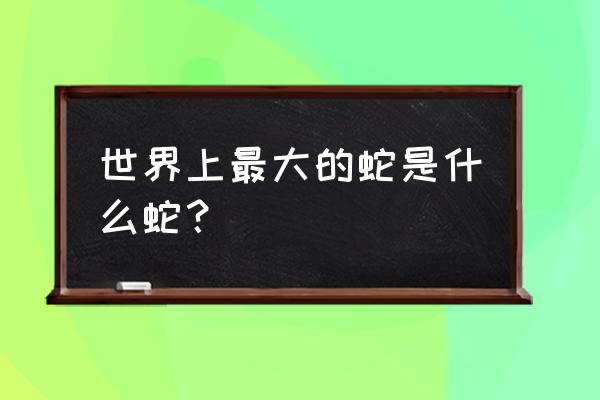 目前世界上最大的蛇 世界上最大的蛇是什么蛇？