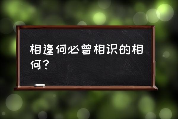 相逢何必曾相识的相 相逢何必曾相识的相何？