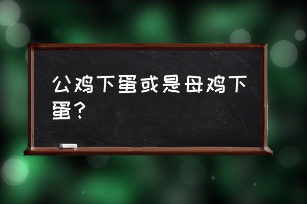 下蛋的鸡是公鸡还是母鸡 公鸡下蛋或是母鸡下蛋？