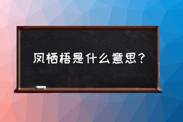 柳永凤栖梧原文及译文 凤栖梧是什么意思？