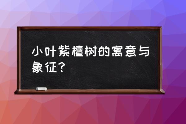 小叶紫檀树 小叶紫檀树的寓意与象征？