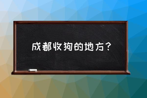 成都爱之家 真相 成都收狗的地方？