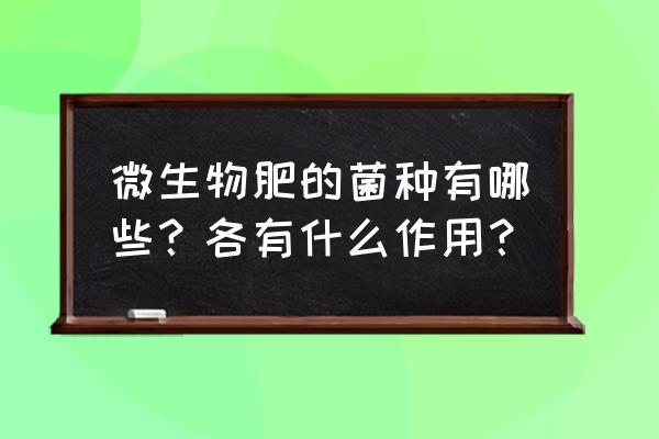 微生物肥料哪种 微生物肥的菌种有哪些？各有什么作用？