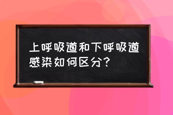 下呼吸道感染是指什么 上呼吸道和下呼吸道感染如何区分？