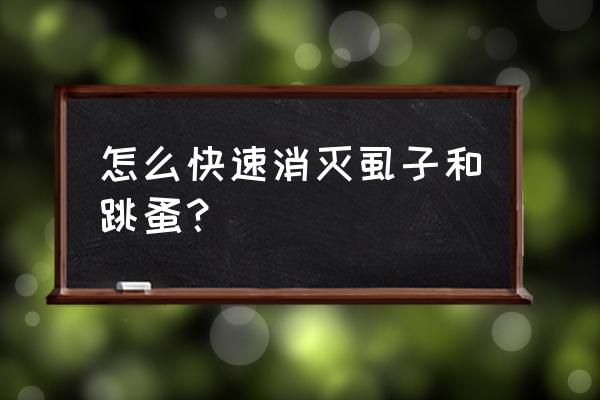 虱子怎么去除最快方法 怎么快速消灭虱子和跳蚤？