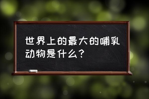 世界上最大的哺乳动物排名 世界上的最大的哺乳动物是什么？