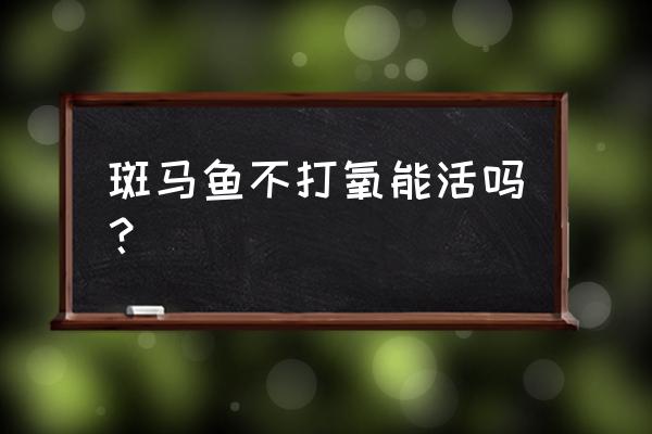 斑马鱼寿命一般多长时间 斑马鱼不打氧能活吗？