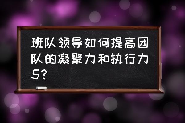 团队执行力个人心得 班队领导如何提高团队的凝聚力和执行力5？