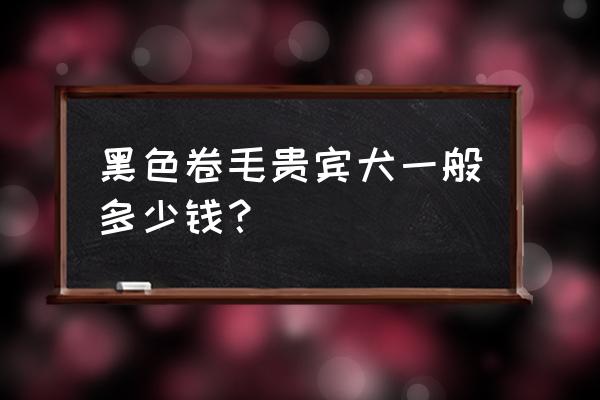 卷毛犬多少钱一只 黑色卷毛贵宾犬一般多少钱？