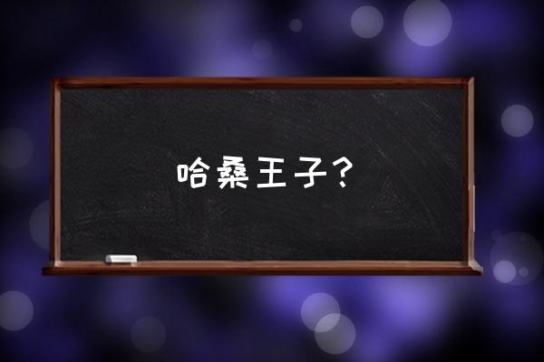 摩洛哥王子哈桑王子 哈桑王子？