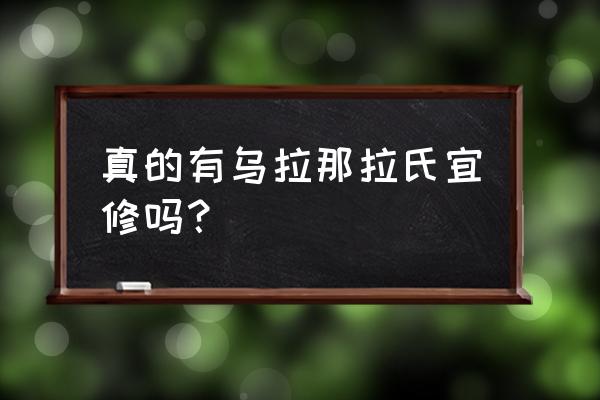 乌那拉那氏宜修 真的有乌拉那拉氏宜修吗？