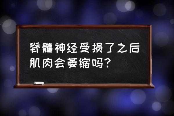 马尾神经在哪个部位 脊髓神经受损了之后肌肉会萎缩吗？