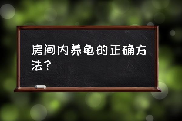 普通小乌龟家里怎么养 房间内养龟的正确方法？