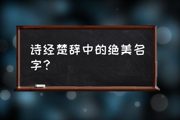 《诗经》《楚辞》取名大全 诗经楚辞中的绝美名字？