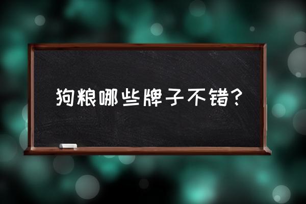 哪款狗粮比较好 狗粮哪些牌子不错？