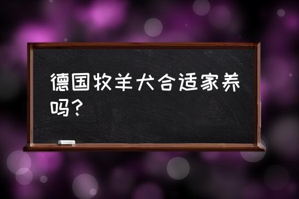 德国牧羊犬适合在家里养吗 德国牧羊犬合适家养吗？