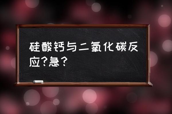 水化硅酸钙用途 硅酸钙与二氧化碳反应?急？