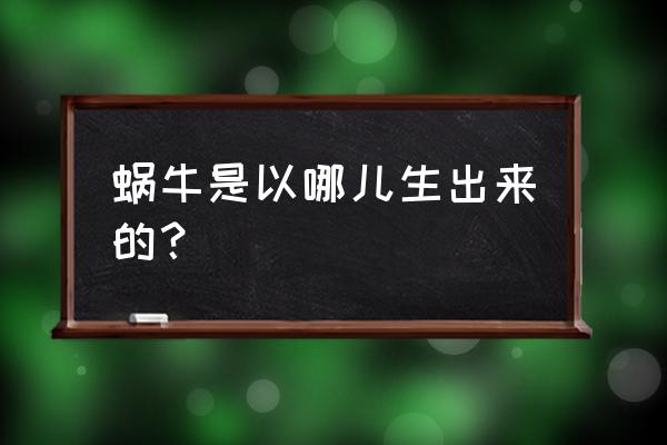 蜗牛从身体哪里产卵 蜗牛是以哪儿生出来的？