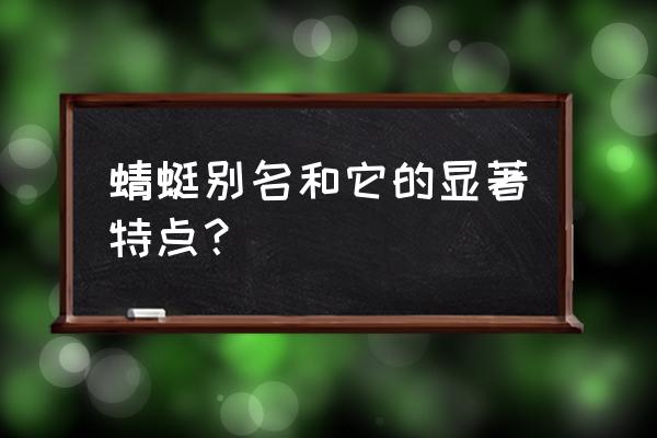 蜻蜓主要特点 蜻蜓别名和它的显著特点？