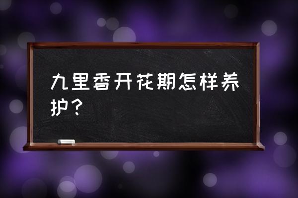 九里香的养殖方法花期 九里香开花期怎样养护？