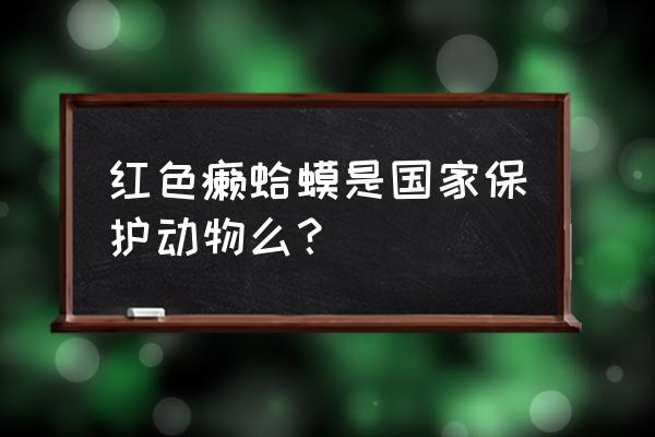 红点齿蟾是什么动物 红色癞蛤蟆是国家保护动物么？