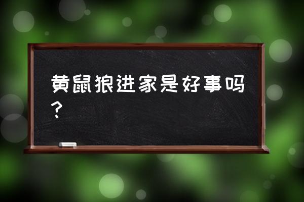 欢迎来的阴阳屋 黄鼠狼进家是好事吗？